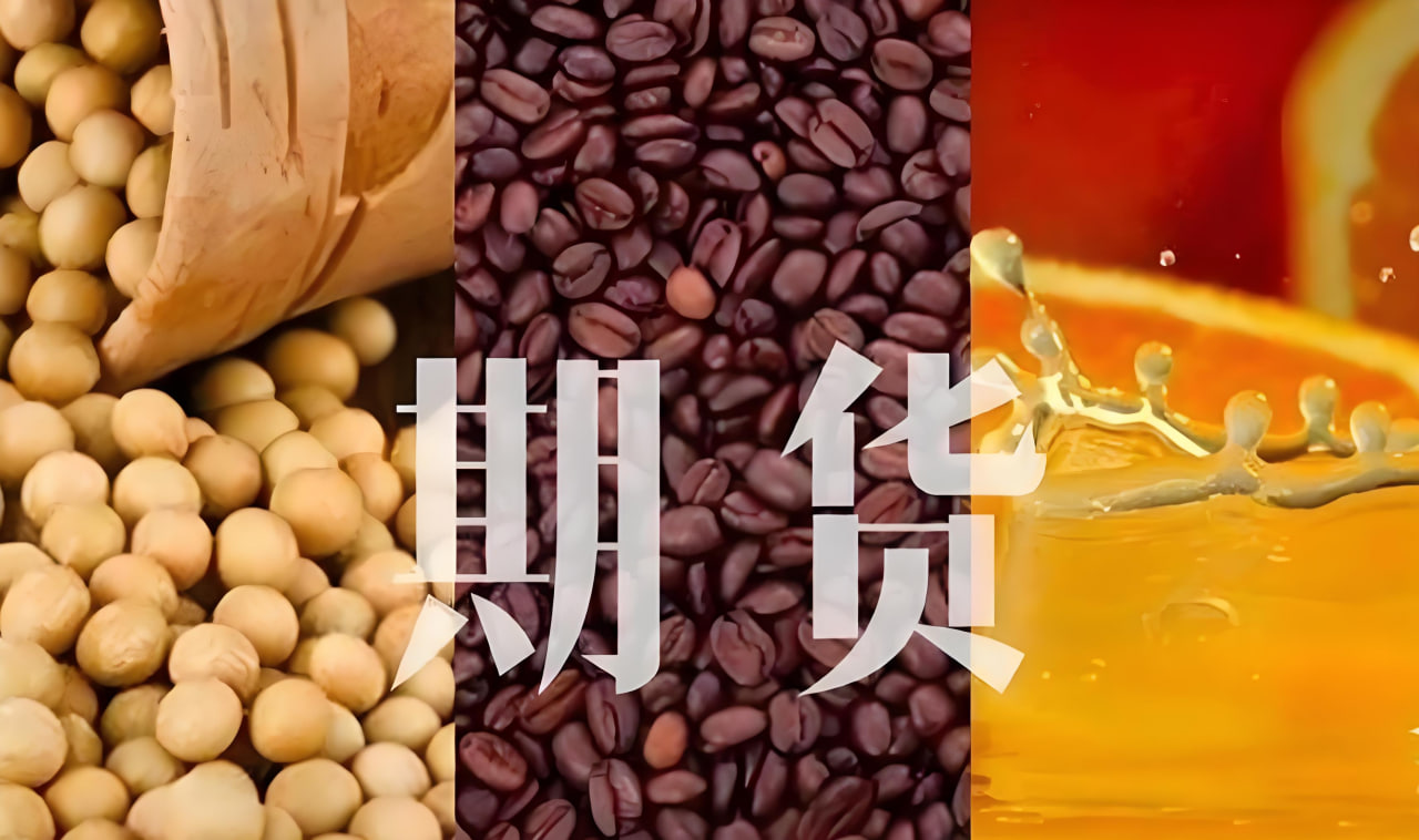 农产品期货直播：玉米、豆粕与小麦的投资机会