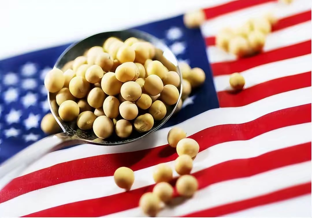 美国大豆期价意外下跌！背后原因与未来走势分析