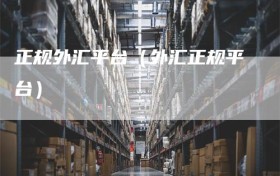 正规外汇平台（外汇正规平台）