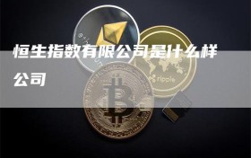 恒生指数有限公司是什么样公司