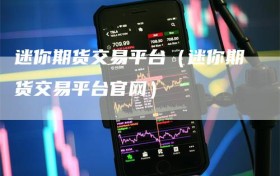迷你期货交易平台（迷你期货交易平台官网）