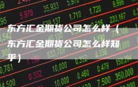 东方汇金期货公司怎么样（东方汇金期货公司怎么样知乎）