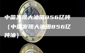 中国发现大油田856亿吨（中国发现大油田856亿吨油）