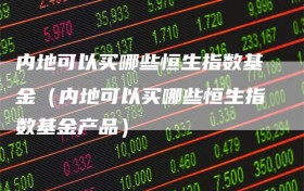 内地可以买哪些恒生指数基金（内地可以买哪些恒生指数基金产品）