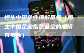恒生中国企业指数基金（恒生中国企业指数基金的规模有多大）