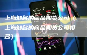 上海知名的商品期货公司（上海知名的商品期货公司排名）