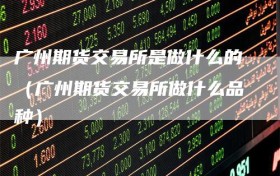 广州期货交易所是做什么的（广州期货交易所做什么品种）