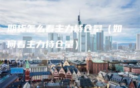 期货怎么看主力持仓量（如何看主力持仓量）