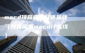 macd顶背离看柱还是线（顶背离看macd什么线）