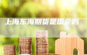 上海东海期货是国企吗