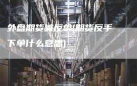 外盘期货喊反单(期货反手下单什么意思)