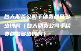 各大期货公司手续费都是多少钱啊（各大期货公司手续费都是多少钱啊）