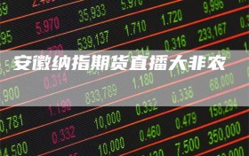 安徽纳指期货直播大非农