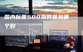 国内标普500指数基金哪个好