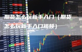 期货怎么玩新手入门（期货怎么玩新手入门视频）