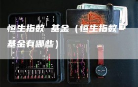 恒生指数 基金（恒生指数基金有哪些）