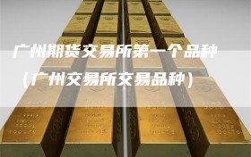 广州期货交易所第一个品种（广州交易所交易品种）