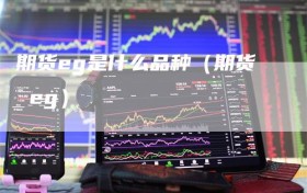 期货eg是什么品种（期货 eg）