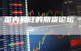 国内最旺的期货论坛