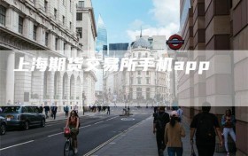 上海期货交易所手机app