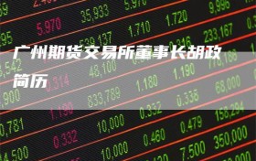 广州期货交易所董事长胡政简历