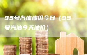 95号汽油油价今日（95号汽油今天油价）