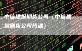 中信建投期货公司（中信建投期货公司待遇）