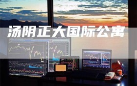 汤阴正大国际公寓