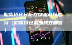 期货持仓分析在哪里可以看到（期货持仓量曲线在哪看）