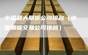 中国最大期货公司排名（中国期货交易公司排名）