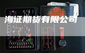 海证期货有限公司