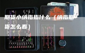 期货小纳指指什么（纳指期货怎么看）