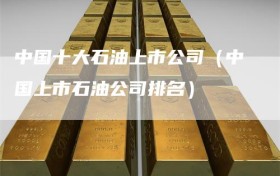 中国十大石油上市公司（中国上市石油公司排名）