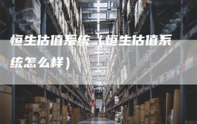 恒生估值系统（恒生估值系统怎么样）