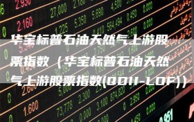 华宝标普石油天然气上游股票指数（华宝标普石油天然气上游股票指数(QDII-LOF)）