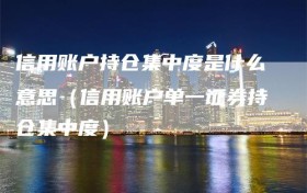 信用账户持仓集中度是什么意思（信用账户单一证券持仓集中度）