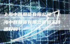 上海中辉期货有限公司（上海中辉期货有限公司员工待遇好吗）