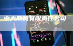 中天期货有限责任公司