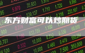 东方财富可以炒期货