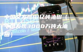 中国又发现81亿吨油田（中国发现3000万吨大油田）