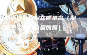 期货持仓数据在哪里查（期货怎么看持仓量数据）