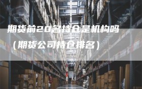 期货前20名持仓是机构吗（期货公司持仓排名）