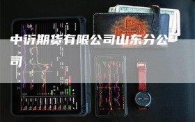 中衍期货有限公司山东分公司
