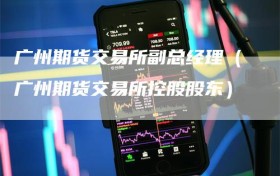 广州期货交易所副总经理（广州期货交易所控股股东）