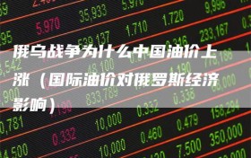 俄乌战争为什么中国油价上涨（国际油价对俄罗斯经济影响）