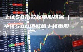 上证50指数权重股排名（中证500指数前十权重股）