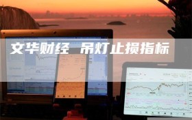 文华财经 吊灯止损指标