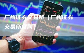 广州证券交易所（广州证券交易所官网）