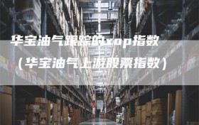 华宝油气跟踪的xop指数（华宝油气上游股票指数）