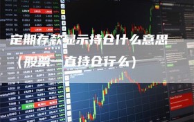 定期存款显示持仓什么意思（股票一直持仓行么）